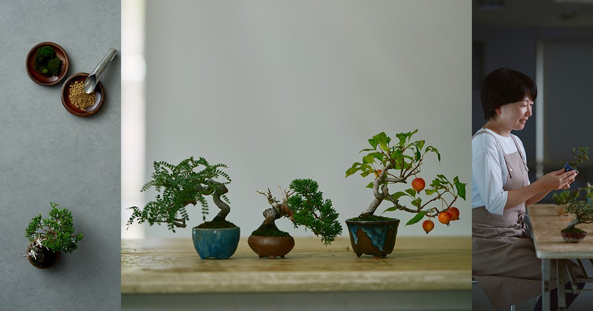 手のひらサイズの小さな鉢に宿る美しく可憐な命～ミニ盆栽～｜山崎