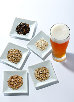 ビールの原料の麦芽。二条大麦、小麦、オーツ麦などを発芽させ焙煎（ばいせん）させたもの。焙煎の度合いで色や味が変わる